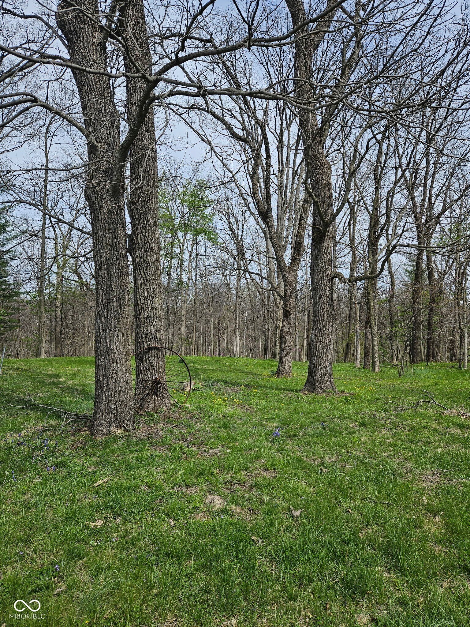 Bainbridge Residential Lots For Sale