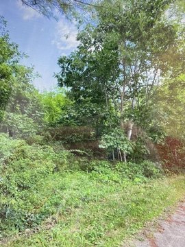 Land, Damariscotta, ME