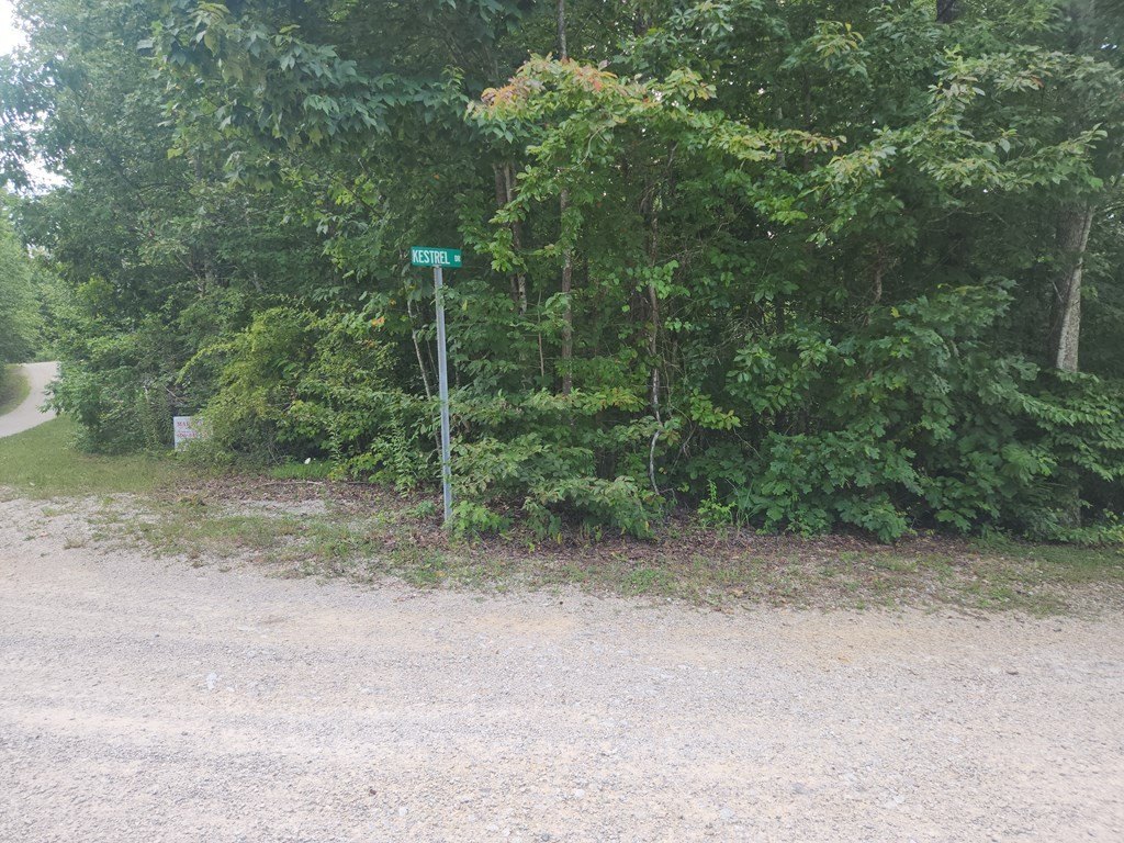 Picture 7