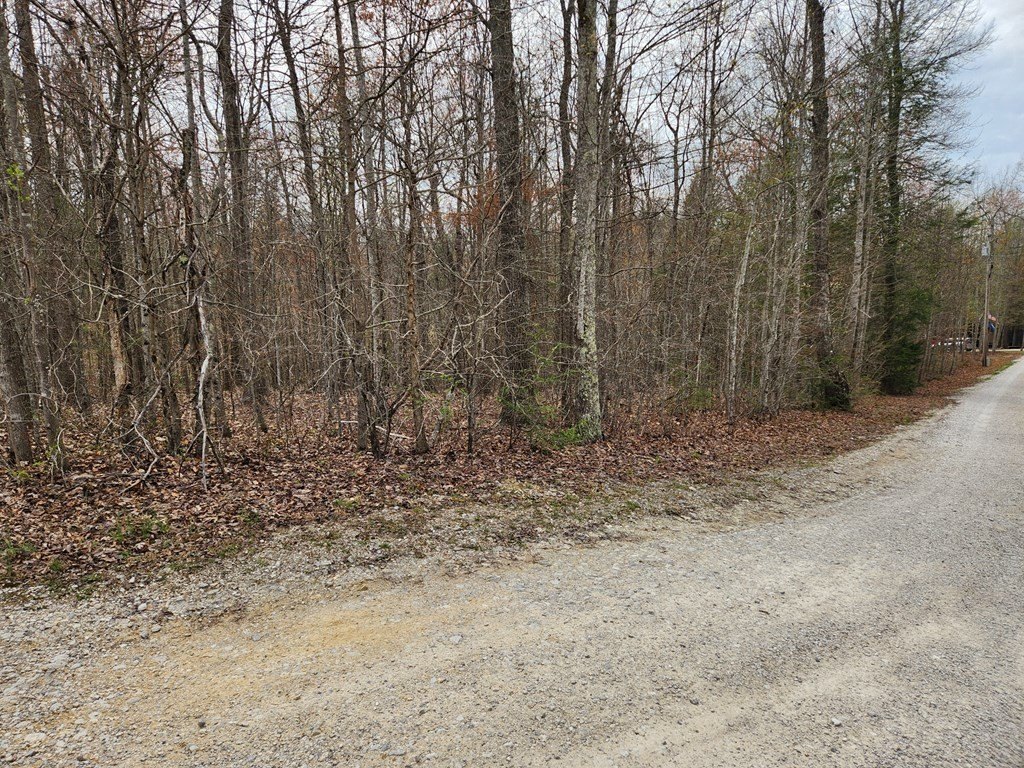 Picture 13