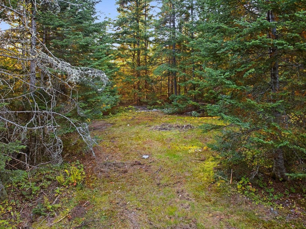 Picture 26
