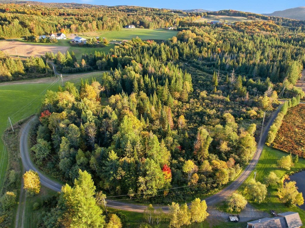 Picture 39