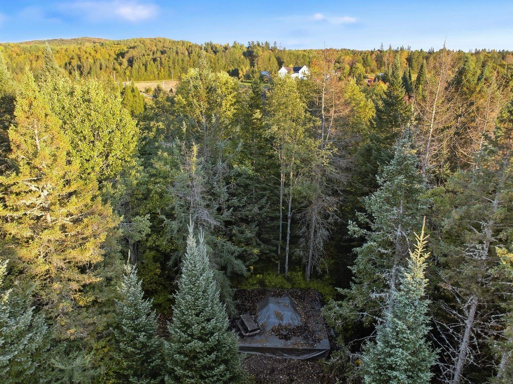 Picture 29