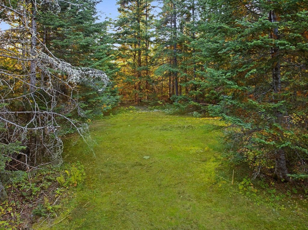 Picture 27
