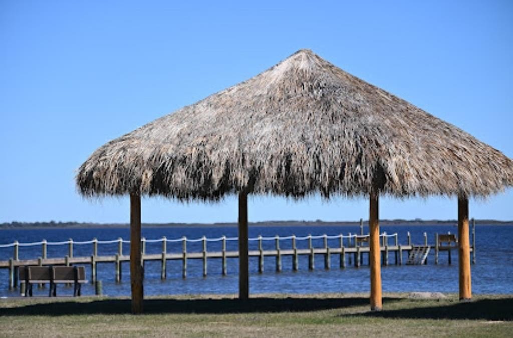 Picture 12