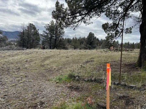 Land in Klamath River Estates