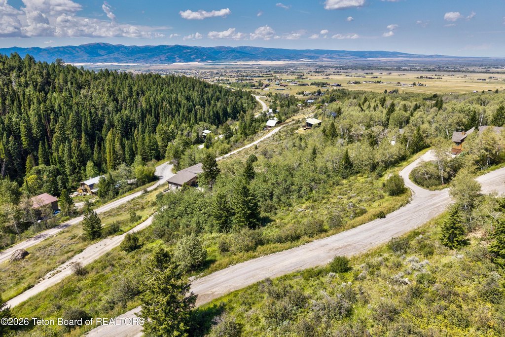Picture 17