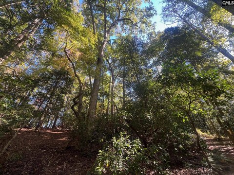 Secluded Lexington Acreage with Stream
