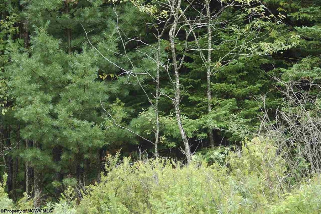 Picture 2