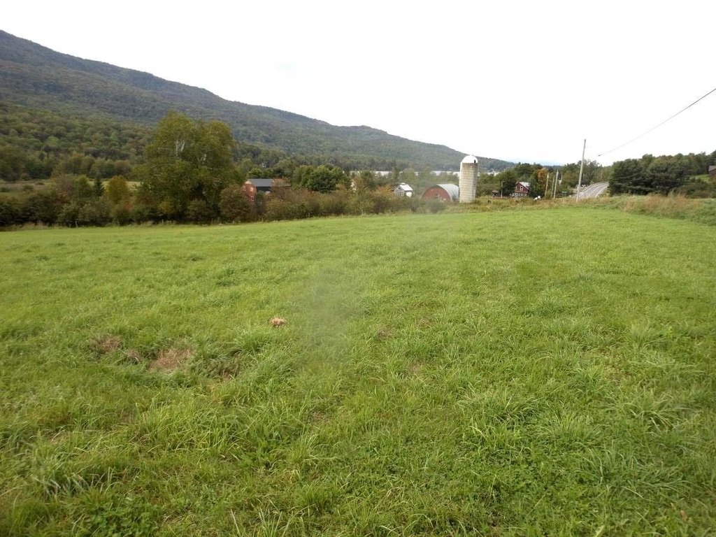 Picture 2