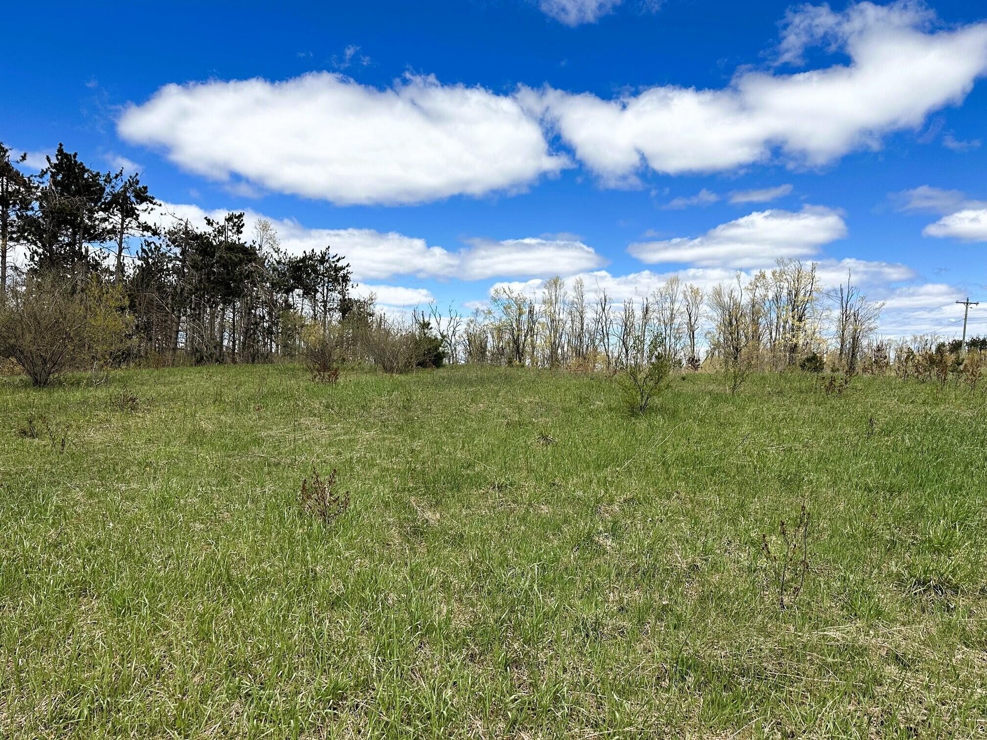 32 Acres Near Gaylord