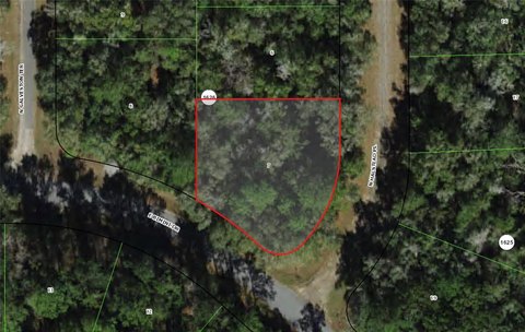 Land, CITRUS SPRINGS, FL