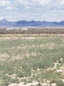 80 Acres of Land in Beryl