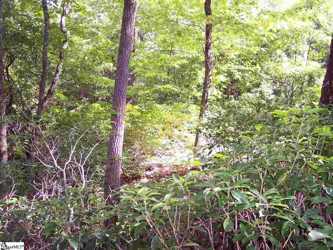 Residential Lot in Gated Community