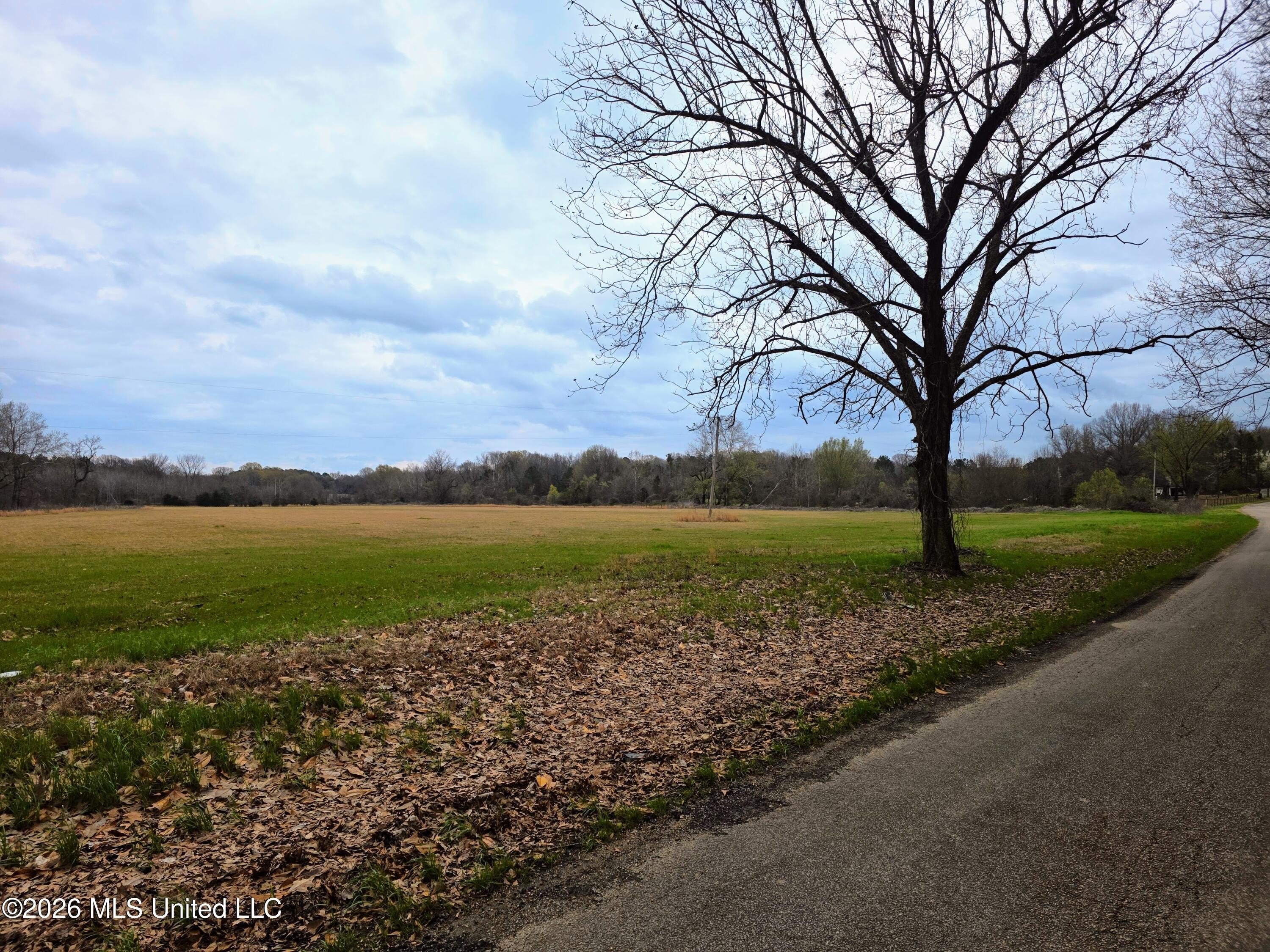 Cleared Land in Coldwater, MS