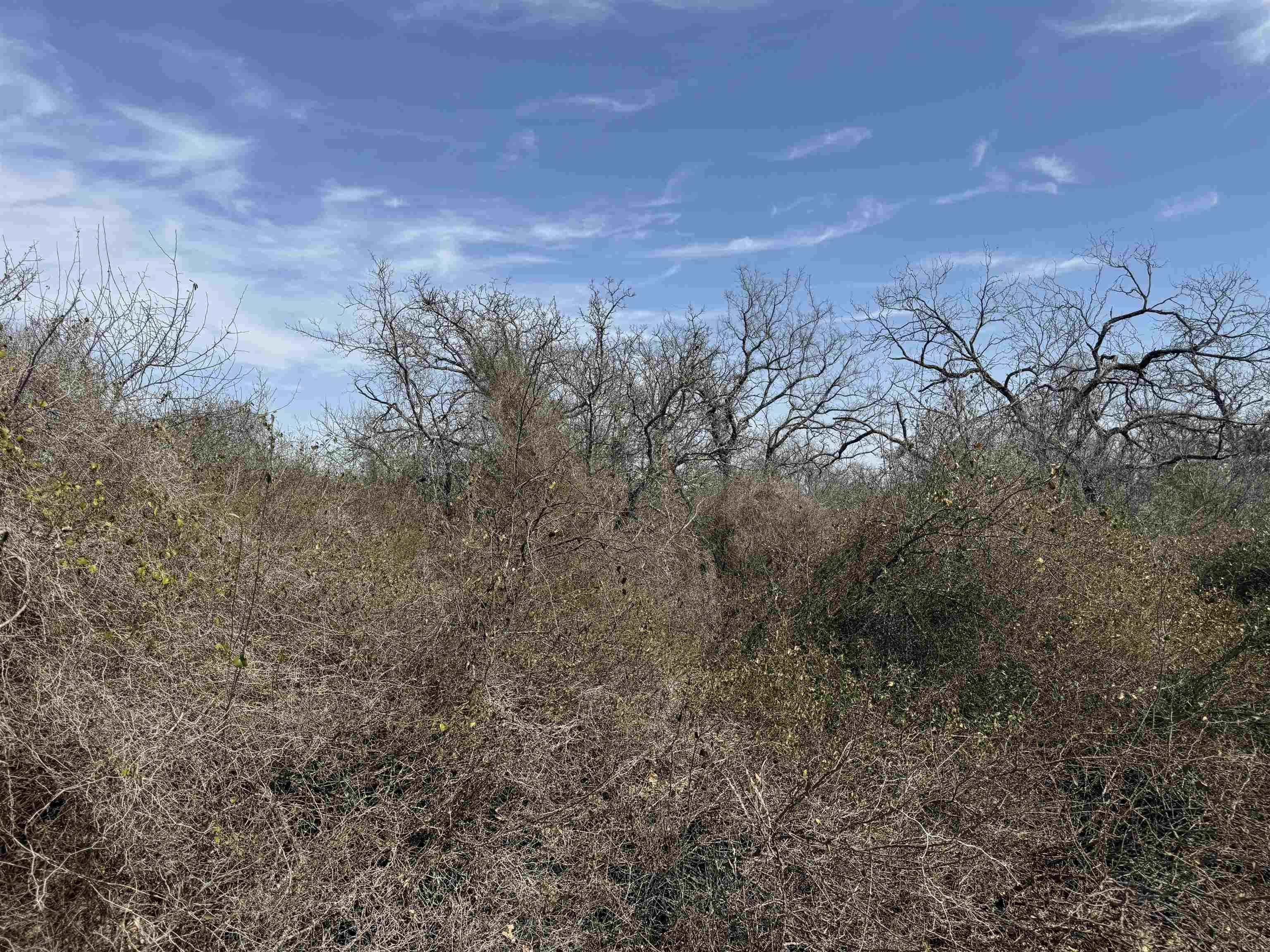 Kingsland, TX Land For Sale