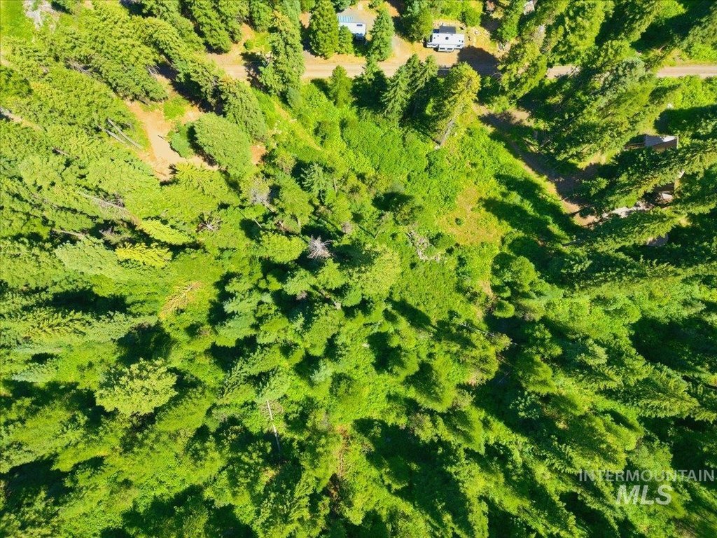 Picture 12