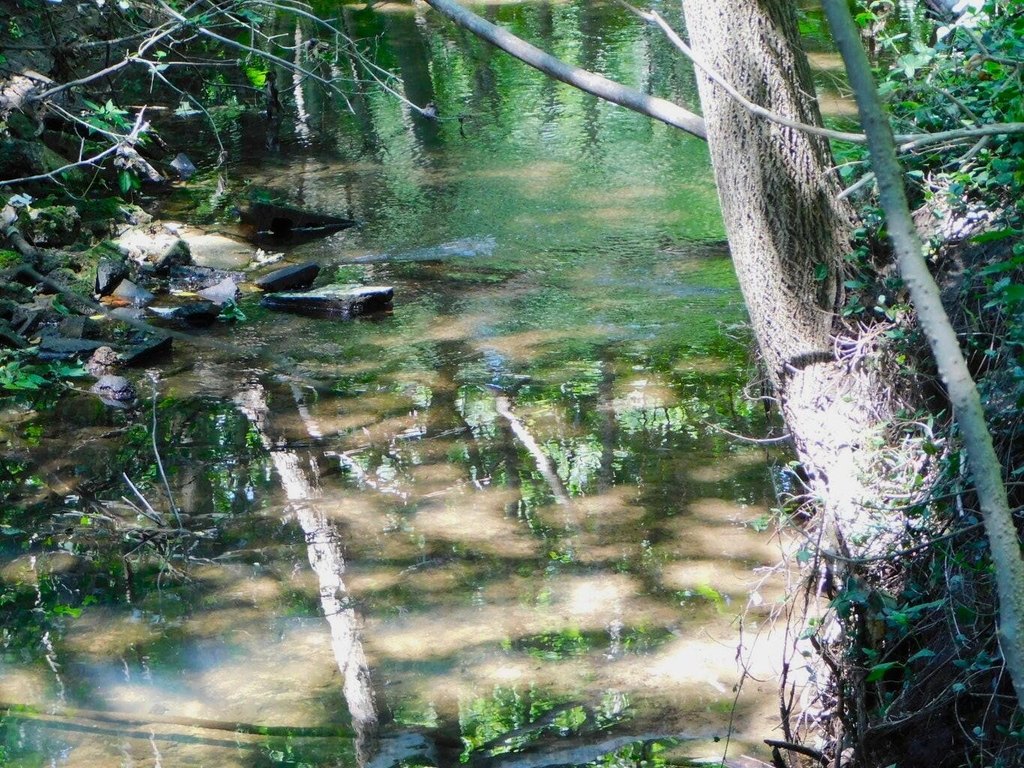 Picture 2