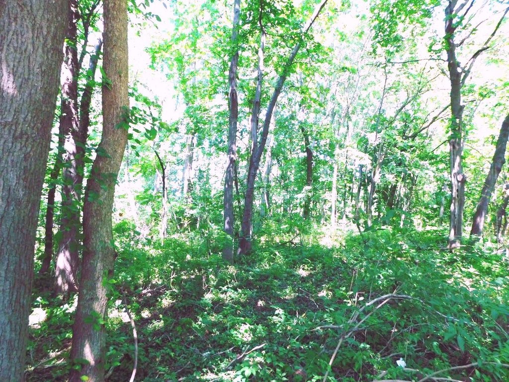 Picture 4