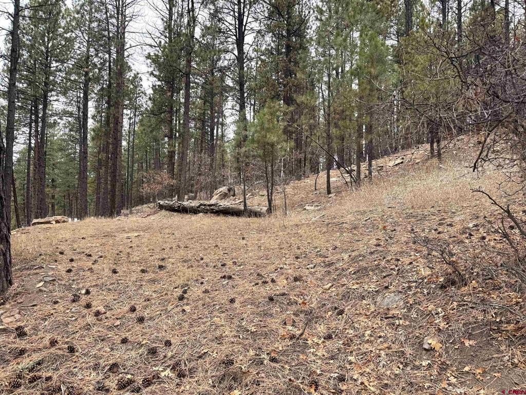 Land in Bayfield, Colorado