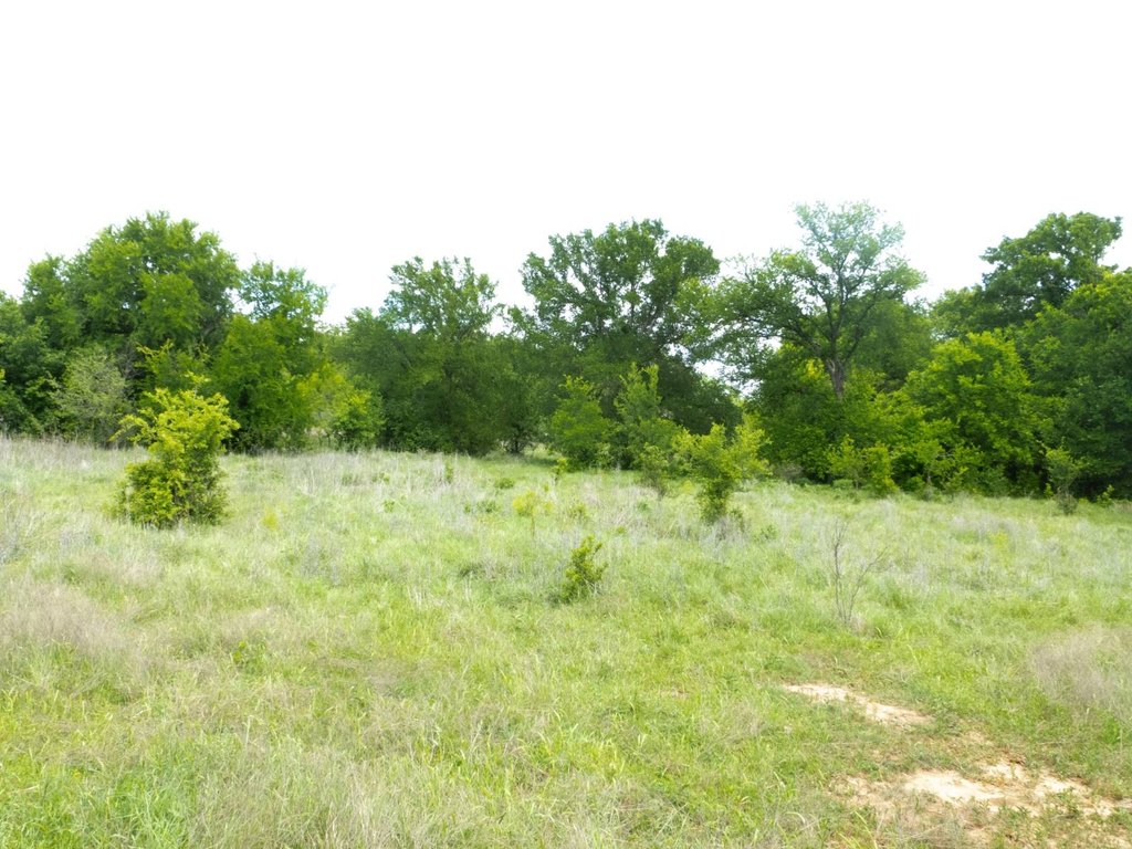Picture 14