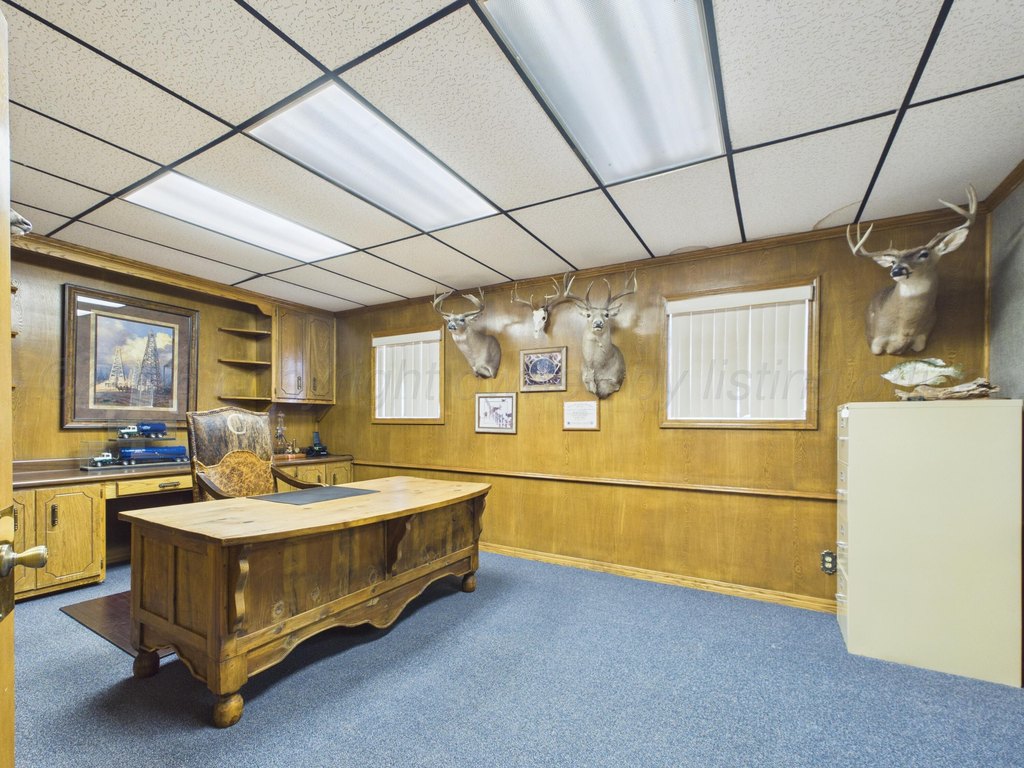 Picture 17