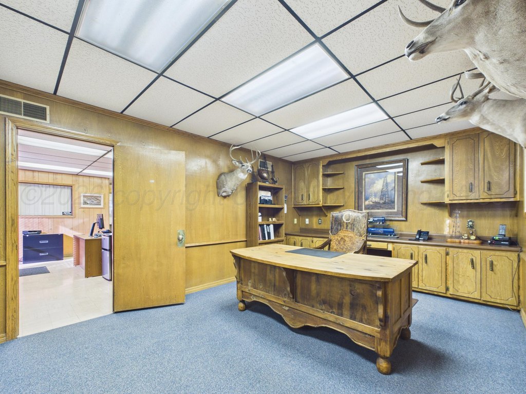 Picture 18