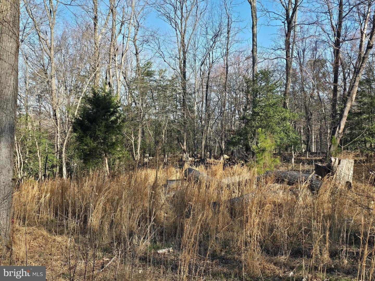 Residential Lot Near Marina