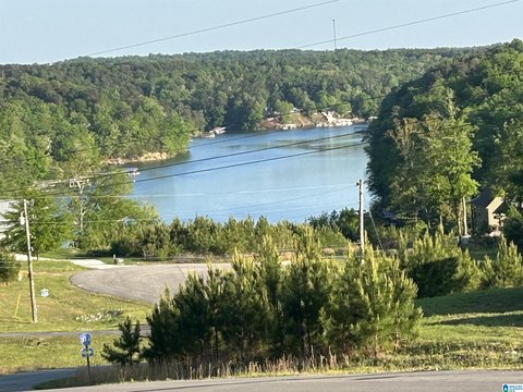 LAND - CRANE HILL, AL