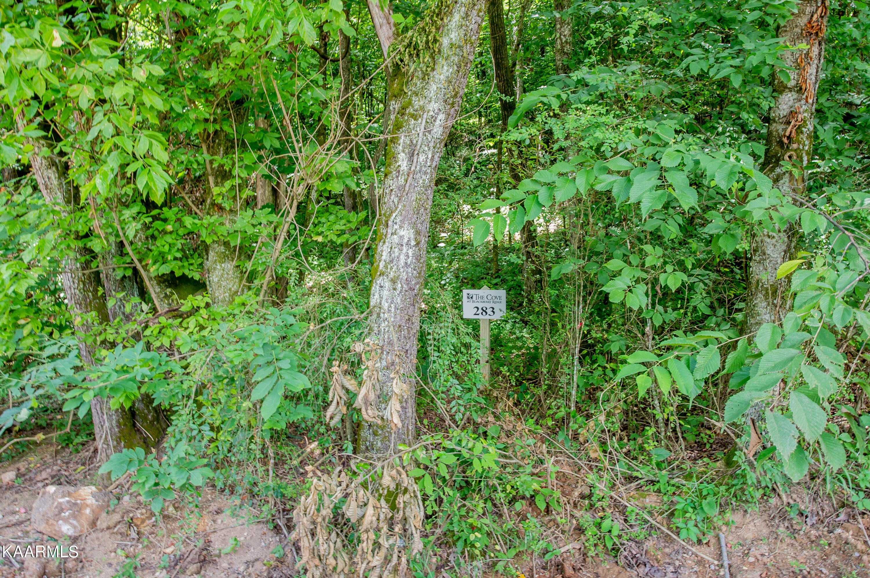 Loudon, TN Land For Sale