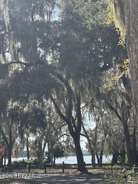 Salt Springs Deeded Lake View