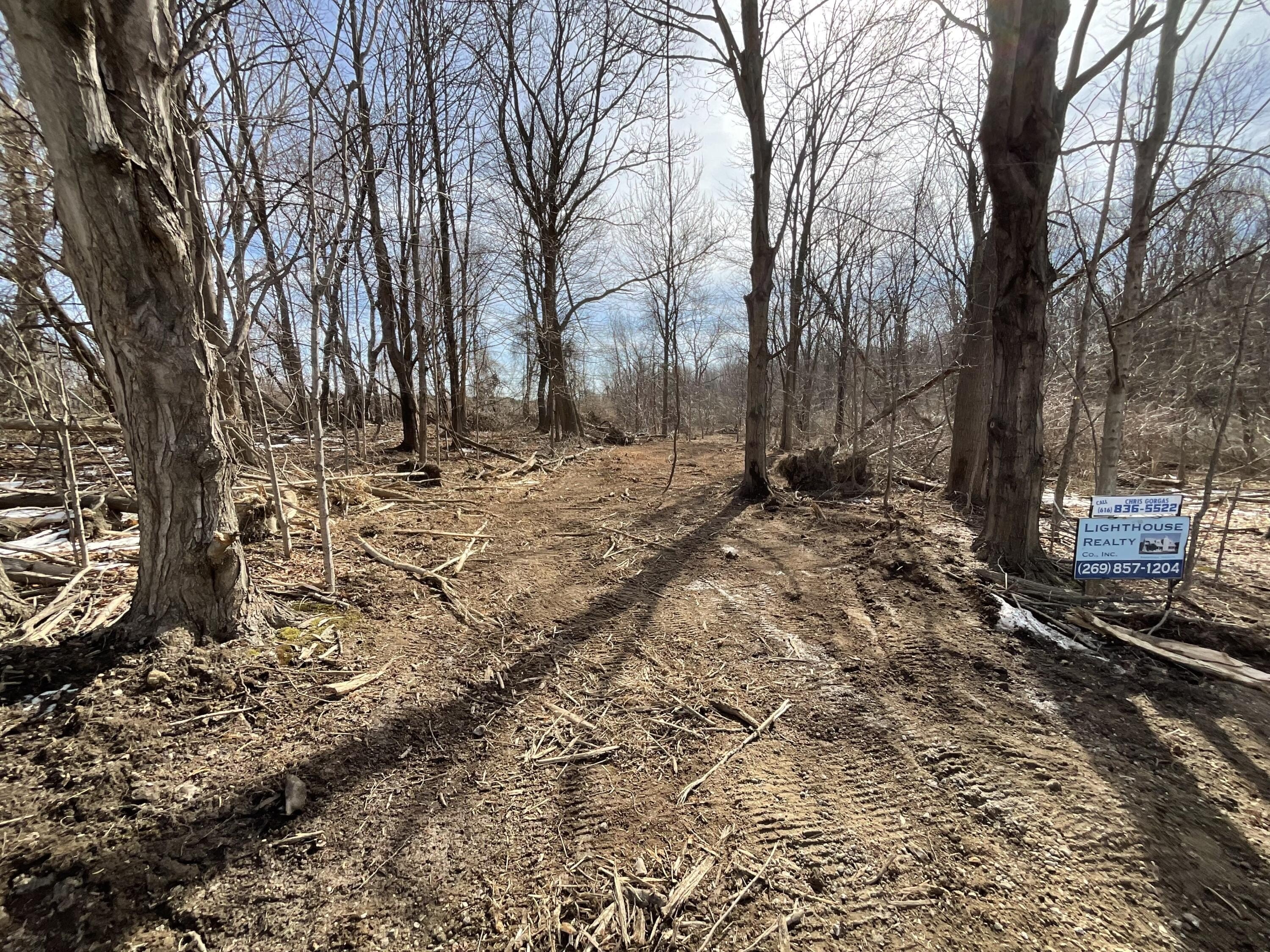 South Haven Wooded Land Parcel