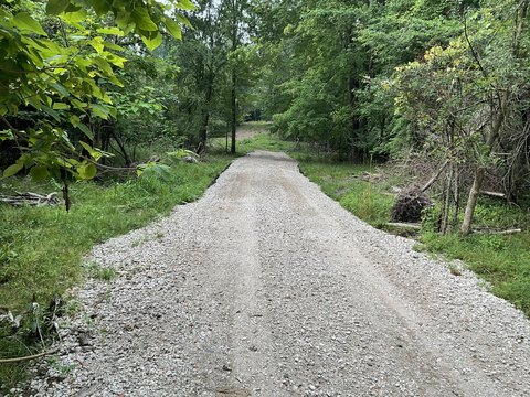 South Haven Wooded Land Parcel
