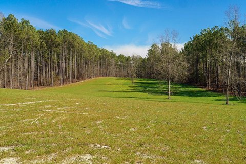 Aiken Land for Equestrian Dream