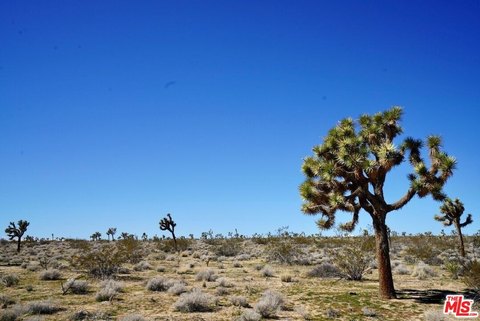9.4 Acre Yucca Valley Land