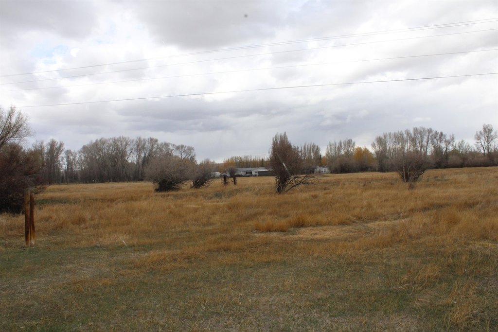 Picture 3
