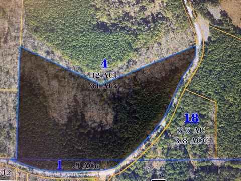 16 Acre Timberland Parcel