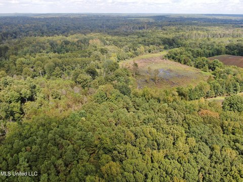 128 Acres in Benton County