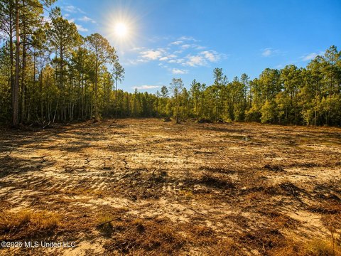 Cleared 3-Acre Parcel in Kiln