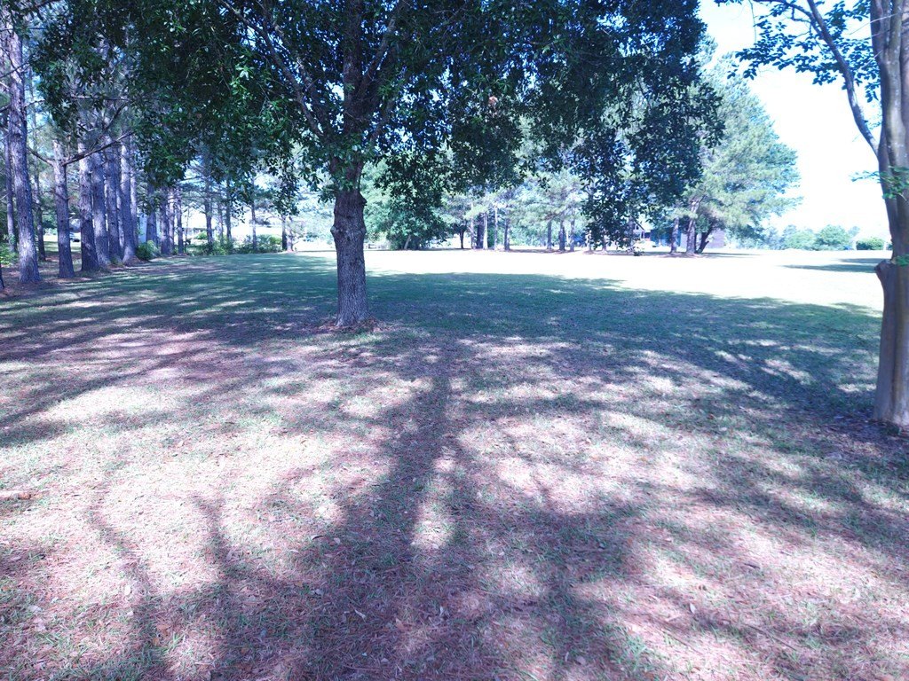 Picture 13