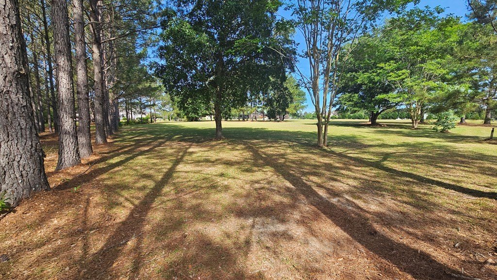Picture 11
