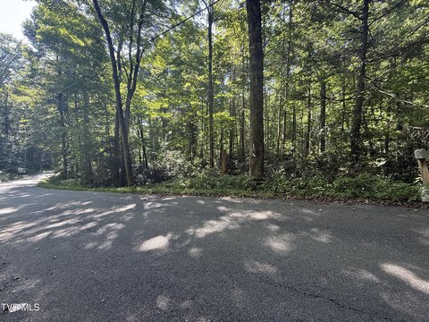 Land, Greeneville, TN