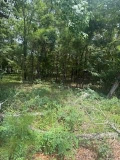 Lake Marion Second Row Lot