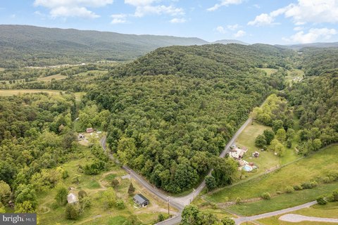 Mature Wooded Land For Sale