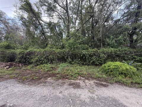 Land, NEW PORT RICHEY, FL