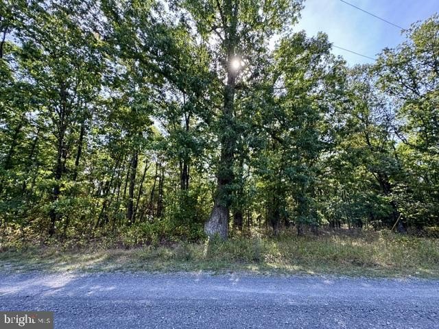 Picture 6