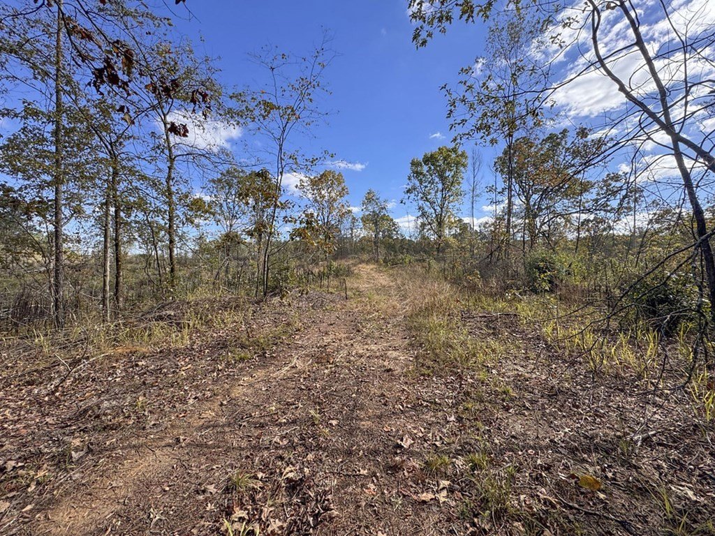 Picture 46