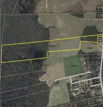 Recreational Land Near Kingstree, SC