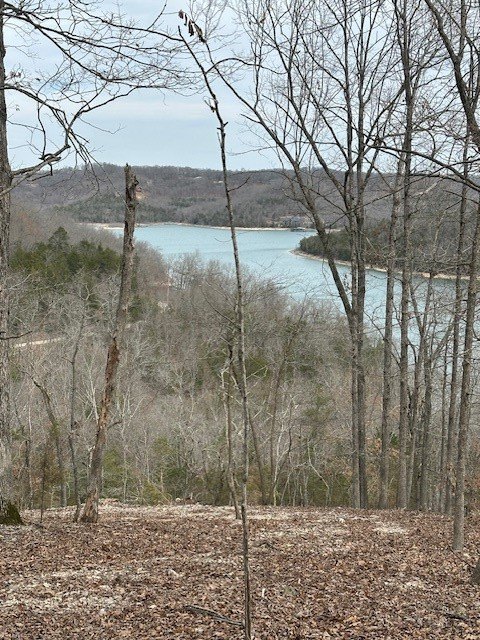 Picture 4