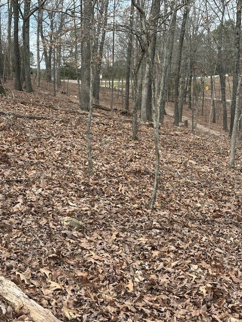 Picture 13